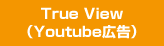 True View（Youtube広告）