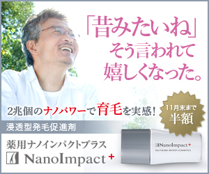 nanoシニア300x250